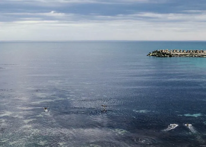 Carmen Azzuro Vénus