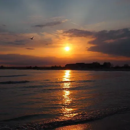 Carmen Azzuro 4* Venus